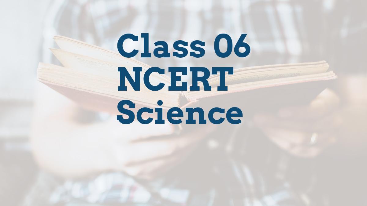 Class 06 NCERT Science Class 06 NCERT Science